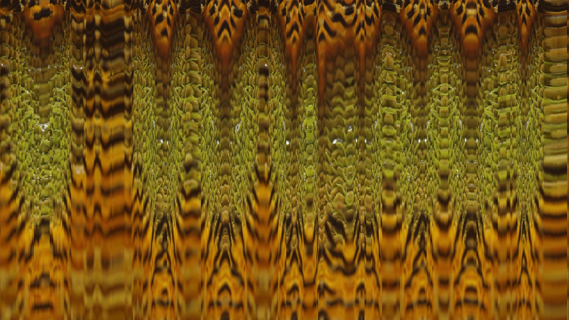 cave
